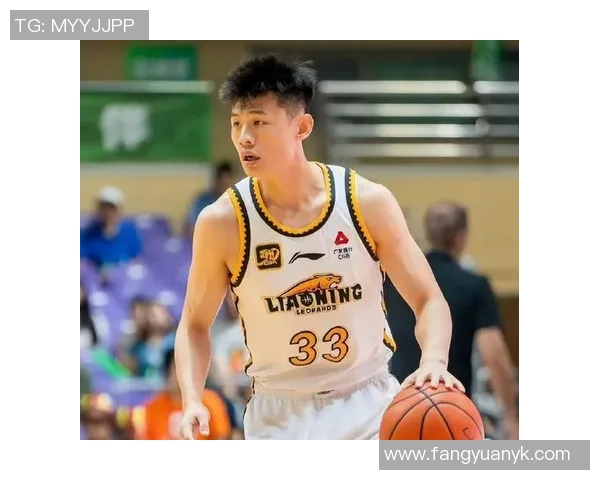 名气压过实力上海男篮两大国手级引援仅得9分伤病再成最大隐患